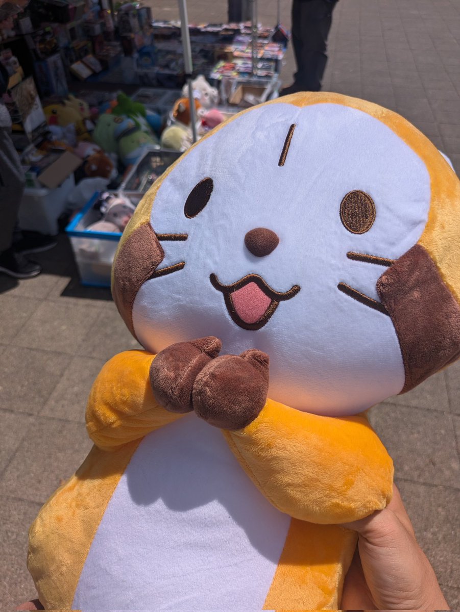 千葉県議会議員 野田宏規 tweet media