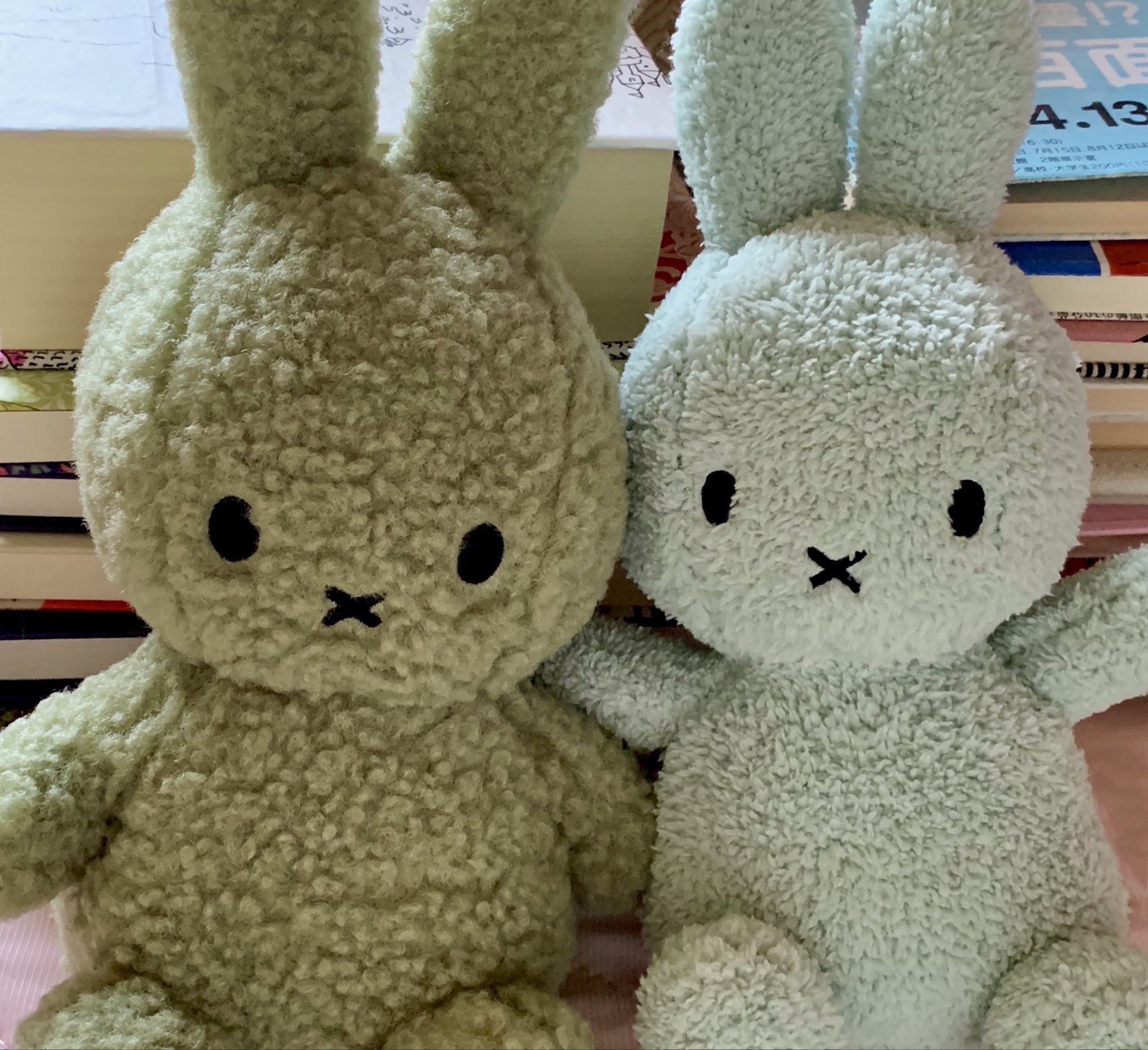うさぎ雑貨店 𝐑𝐞𝐛𝐞𝐤𝐤𝐚 | ・ ・ しらとあきこ様の作品が