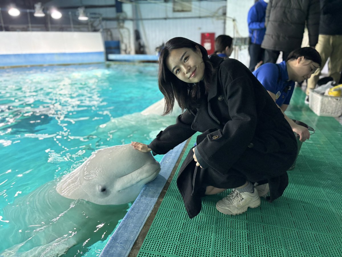 chimassyi's tweet photo. 今年の一月に初めて行きました。
ほんとうに動物たちが楽しそうにしていました。トレーナーさん、スタッフさん達と動物たちがパートナー的な関係なのがとても良かったです。
冷静に書いてますが、ベルーガ撫でると泣きますし、退館すると現実との差に絶望します。覚悟してください。
 #スゴいぜ鴨シー https://t.co/jK9d9cSi5Q