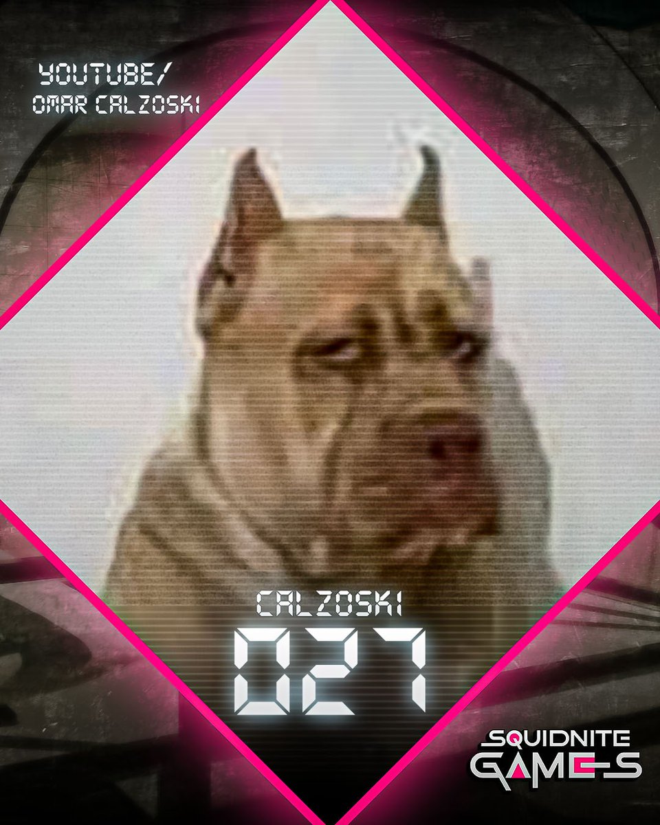 SquidNiteGames's tweet image. Un invitado bastante especial porque me confesó que se siente confiado para ganar todos los juegos
Bienvenido Calzoski
