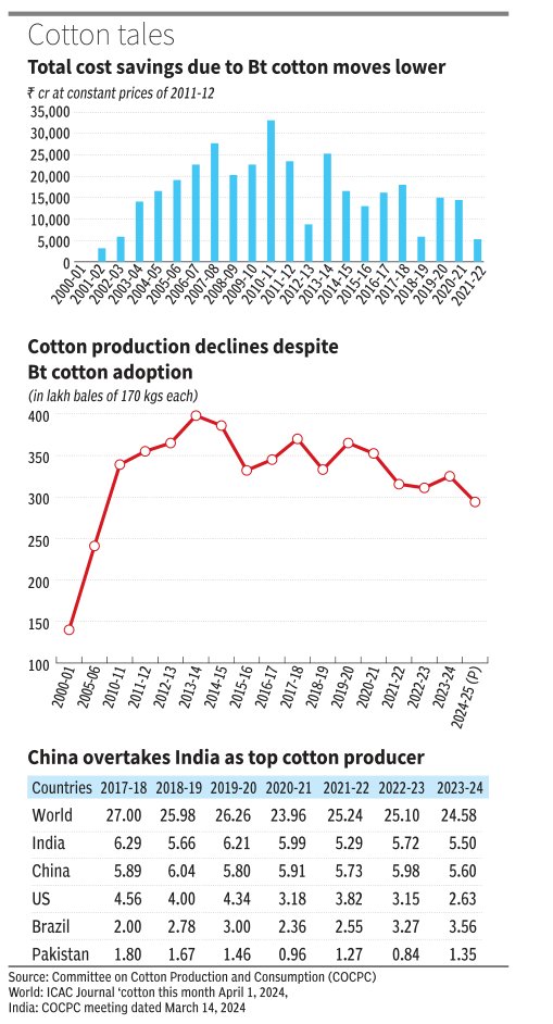 Data Stories from BusinessLine (@bl_datastories) on Twitter photo Despite 95% adoption, India's cotton yields are dropping, costs are rising, and China has overtaken India as the top producer. Stagnant productivity, pest resistance, and rising input use are key concerns.
✍️<a href="/Kurmanath/">Dr Kurmanath, Ph.D.</a>
Data story for <a href="/businessline/">businessline</a>
Read: thehindubusinessline.com/data-stories/d… Despite 95% adoption, India's cotton yields are dropping, costs are rising, and China has overtaken India as the top producer. Stagnant productivity, pest resistance, and rising input use are key concerns.
✍️<a href="/Kurmanath/">Dr Kurmanath, Ph.D.</a>
Data story for <a href="/businessline/">businessline</a>
Read: thehindubusinessline.com/data-stories/d…