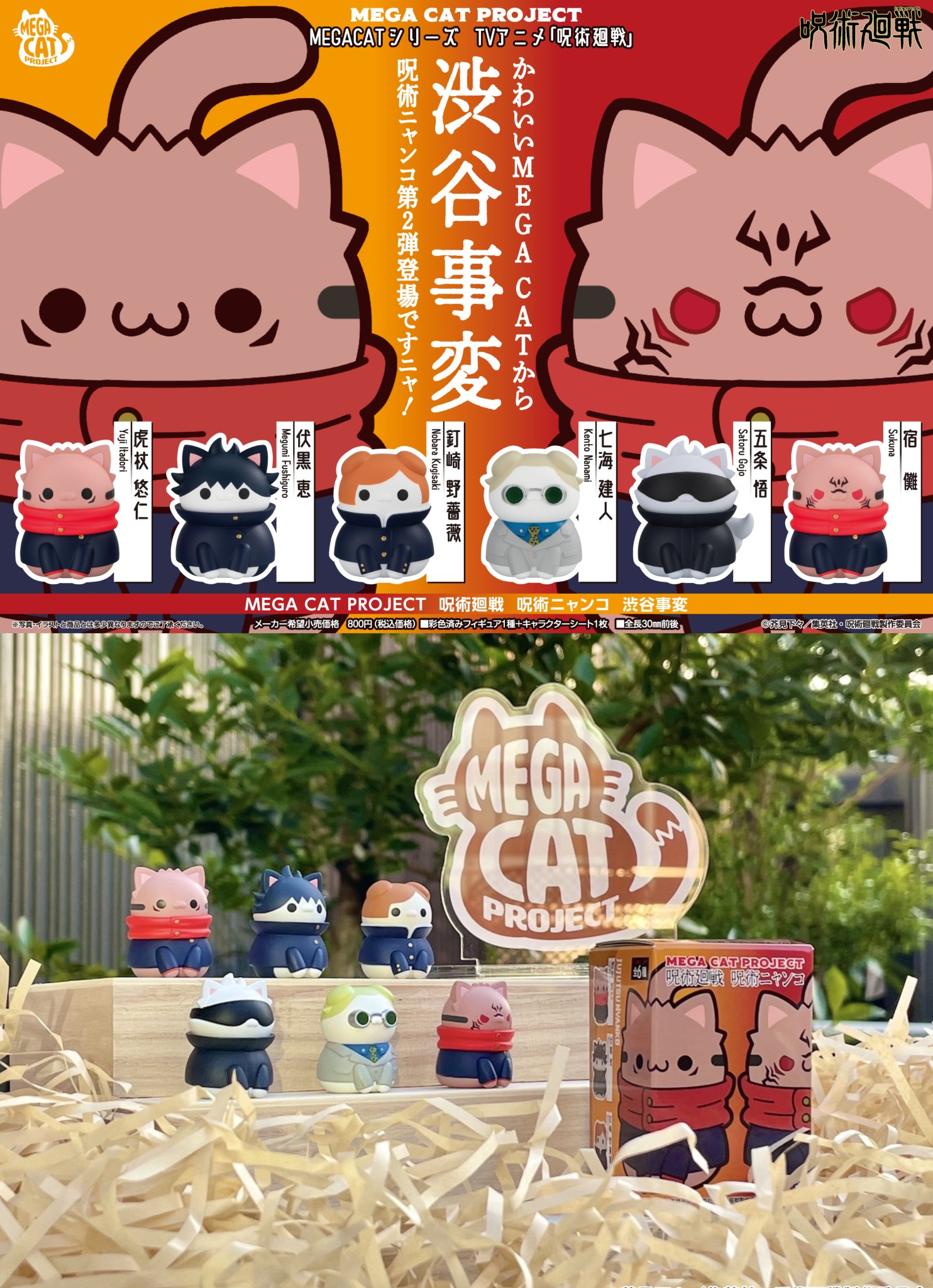 にゃん※おまとめ割してますページ ฅ*【29】引っ越し前の猫ちゃんたちの様子 *ฅ* .. | にゃん生