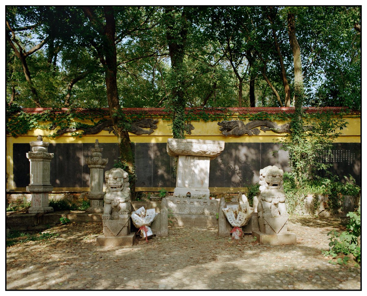 夏至，浡泥国王墓和天隆寺塔林

“让心在灿烂中死去”

🎞️：Kodak Gold 200