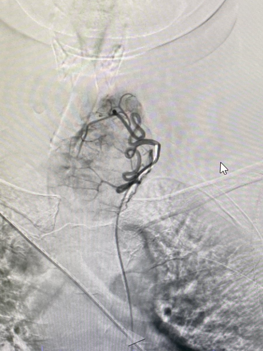 Manish Kumar Yadav tweet media