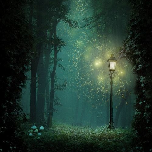 NarniaWeb's tweet image. "You would have loved Narnia in summer. We fauns danced with the dryads all night, and we never got tired. And music! Oh, such music!"