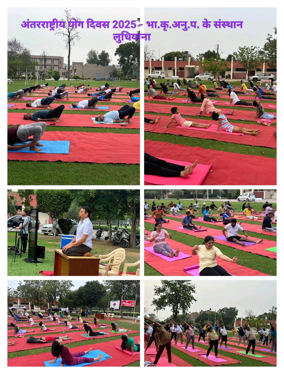 ICAR-CIPHET, ICAR-IIMR, ICAR-ATARI celebrates International Yoga Day 2025