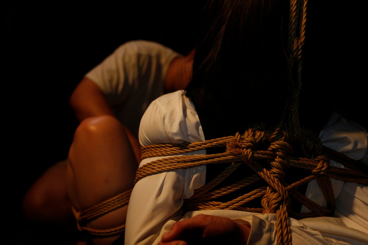 逐暗~~ tweet media