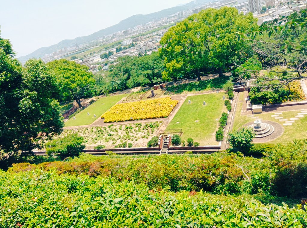 yononatsuko's tweet photo. 植物園　アナグマとすれ違った https://t.co/ZWEVEA6ZU2