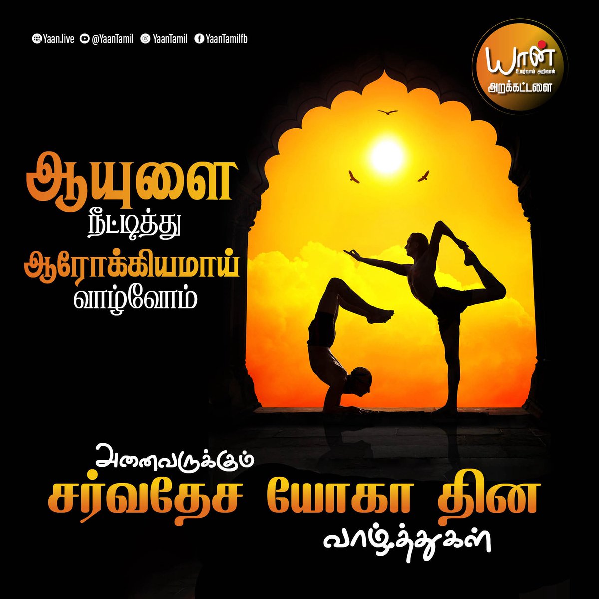 Embrace the harmony of mind, body and spirit through Yoga. #internationalyogaday #yoga 

#dailyyoga #yogalife #yogaforeveryone #yogaislife #whyyoga #peaceofmind