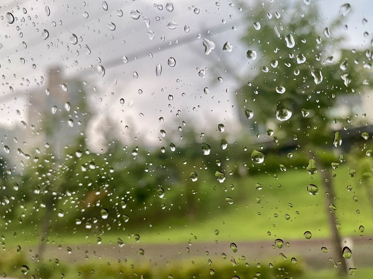 비와 외로움, 비와 산책, 비와 라떼, 비와 책, 비와 영화, 비와 낮잠... 내가 떠올리는 어떤 단어를 넣어도 다 낭만이 되는 신비, 거기에 빗소리를 더하면 운치 있는 풍경이 된다. 장마에 우울하지 않기. 날씨에 지지 않기. 장마철을 보내는 마음.