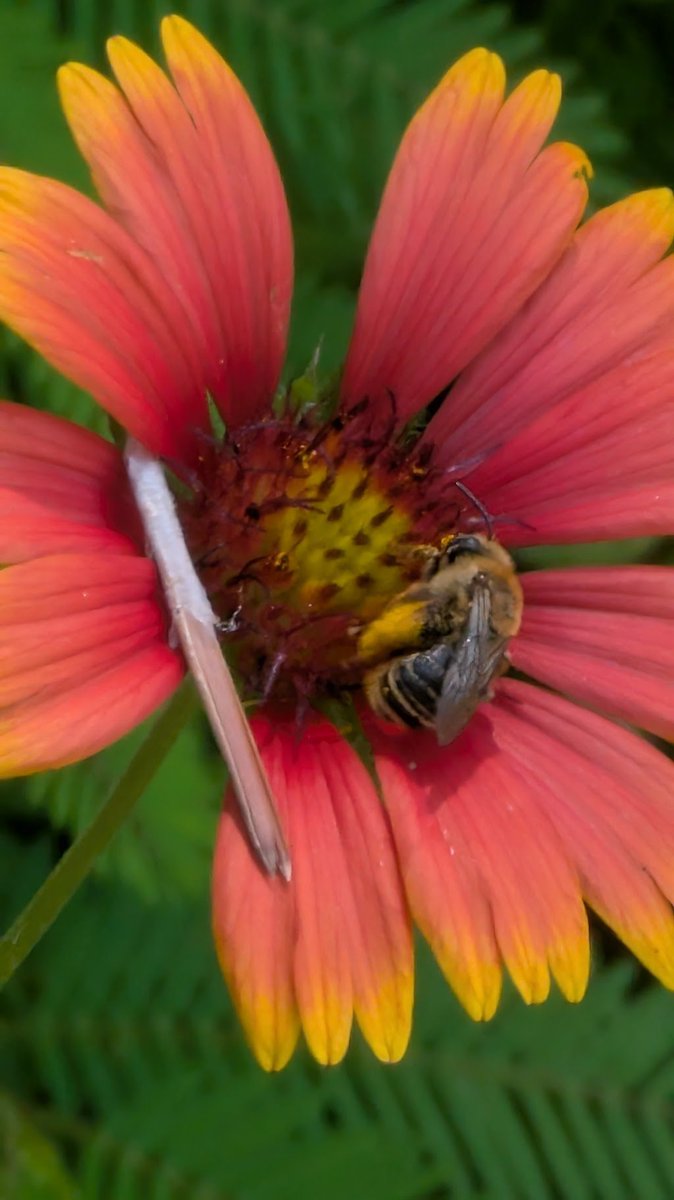 Gillis Jones (@gillis57) on Twitter photo 