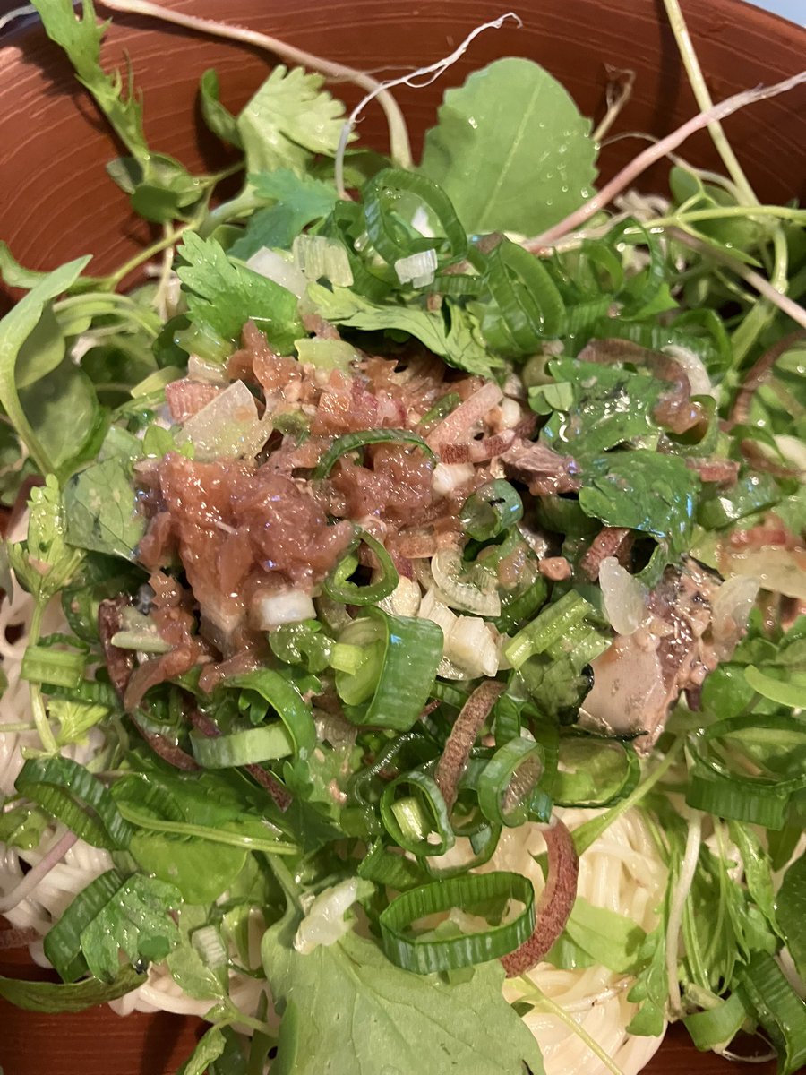 ベランダの間引き菜全部投入して、薬味もたっぷりのぶっかけ素麺でブランチ。