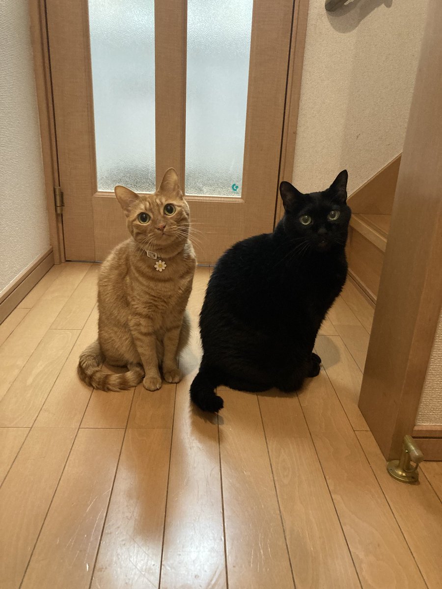 6/21朝日新聞beパズル。 暑くなってきましたね、、、梅雨はどこ行っ