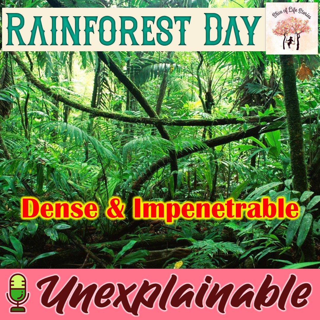 sliceoflife466's tweet image. Rainforest Day with 🎙 Unexplainable

▶ youtu.be/Wkpq8AdCMFk

#unexplainable #sadness #library #resortfriendship #swimming #carroms #picnic #miscarried #storytime #worldrainforestday #rainforestday #rainforest #savetherainforests #protecttherainforests #rainforestconservation