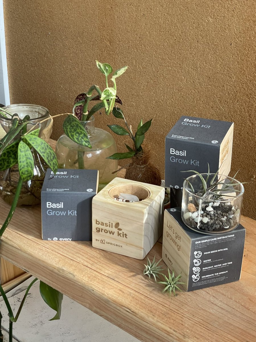 We will have the CUTEST hackathon swag you have ever seen from <a href="/EveryBanking/">Every Inc.</a> 🌱