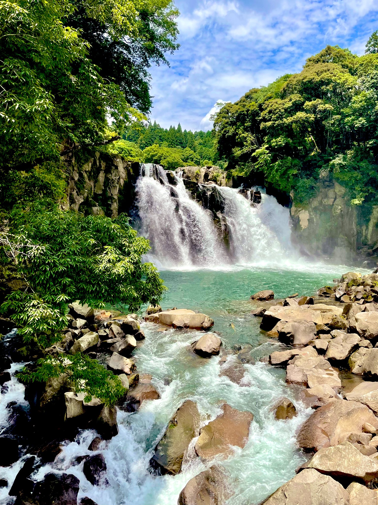 Amazon.co.jp: 紀州の滝340 : 小板橋 淳: 本