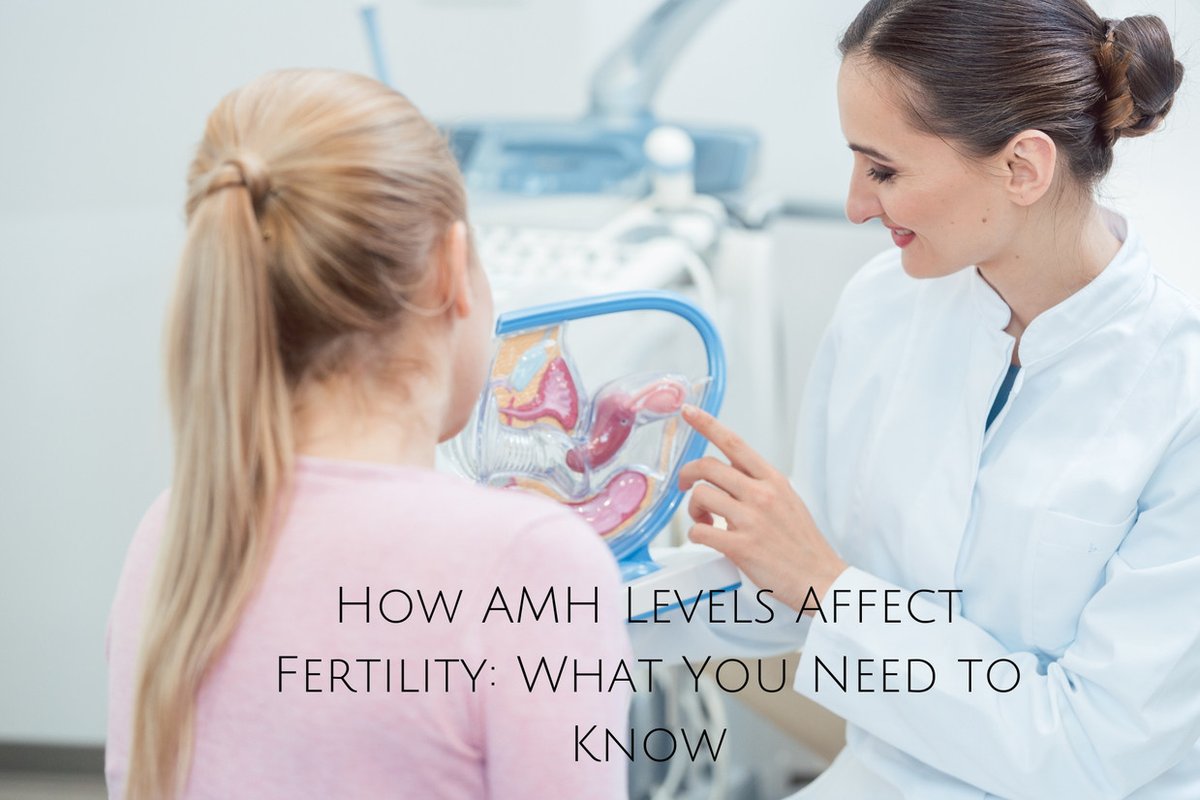 thekiwla's tweet image. How AMH Levels Affect Fertility: What You Need to Know
#AMHLevels #FertilityAwareness #FertilityHealth #welovekiwla #WomenHealth #ReproductiveHealth #healthandwellness #fertility #hormonalhealth #healthylifestyle #healthcare #thekiwla @thekiwla
kiwla.com/blog/Healthy-B…