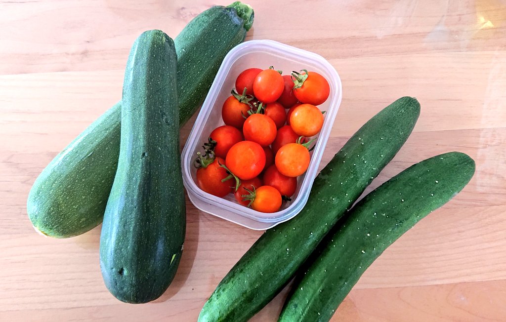 お野菜ぞくぞくと収穫中✨
ズッキーニ
フルーツトマト🍅
きゅうり🥒

大葉は気温なのか虫なのか全滅してしまった😭