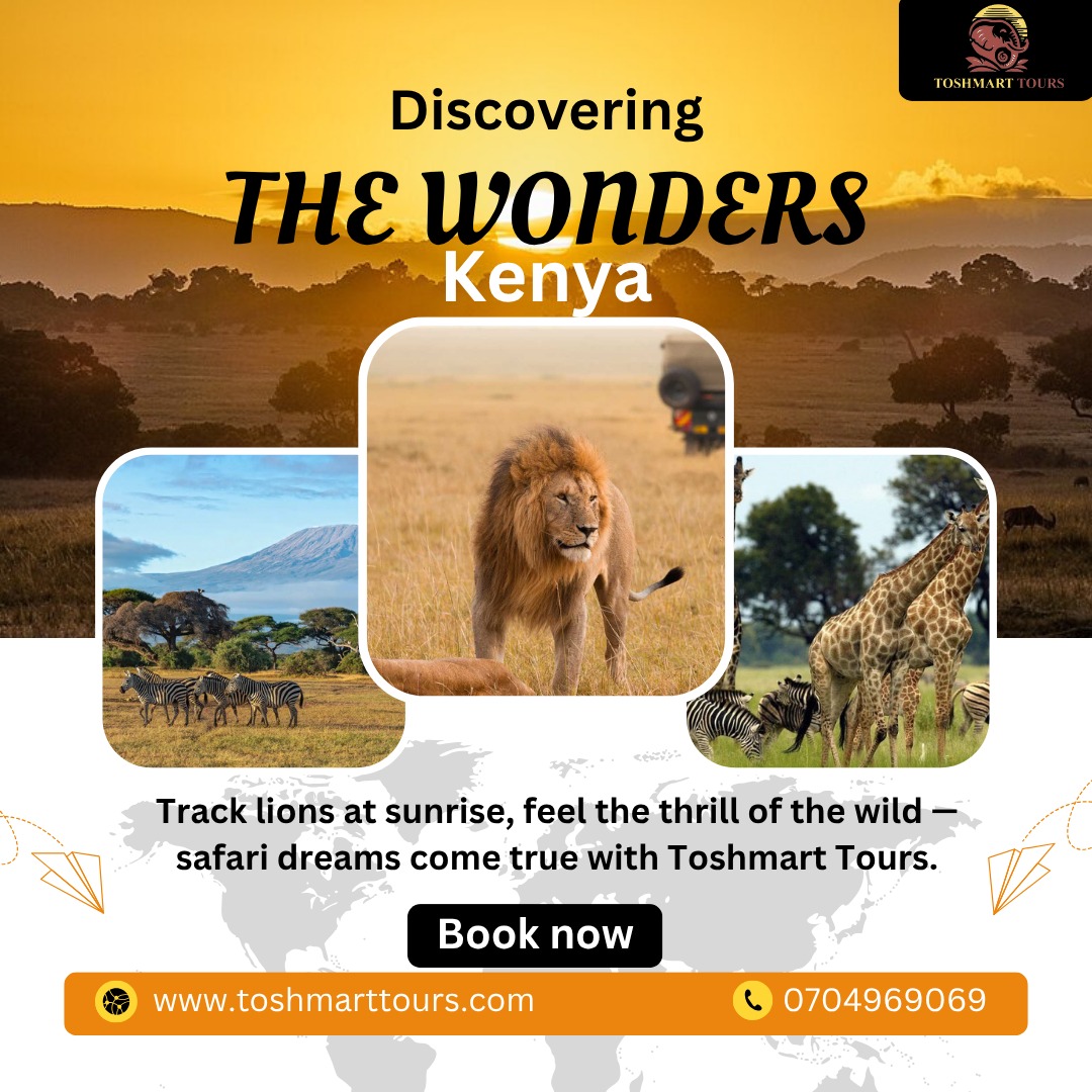 ToshMarttours's tweet photo. Track lions at sunrise, feel the thrill of the wild — safari dreams come true with Toshmart Tours.

🌐Visit our Website now -https://t.co/dTBFFzsKXe

#ToshmartTours #SunriseSafari #LionTrackingExperience #AfricanWilderness #LuxurySafariTour #KenyaTravel #AdventureSeekers https://t.co/Mk99UurcDi