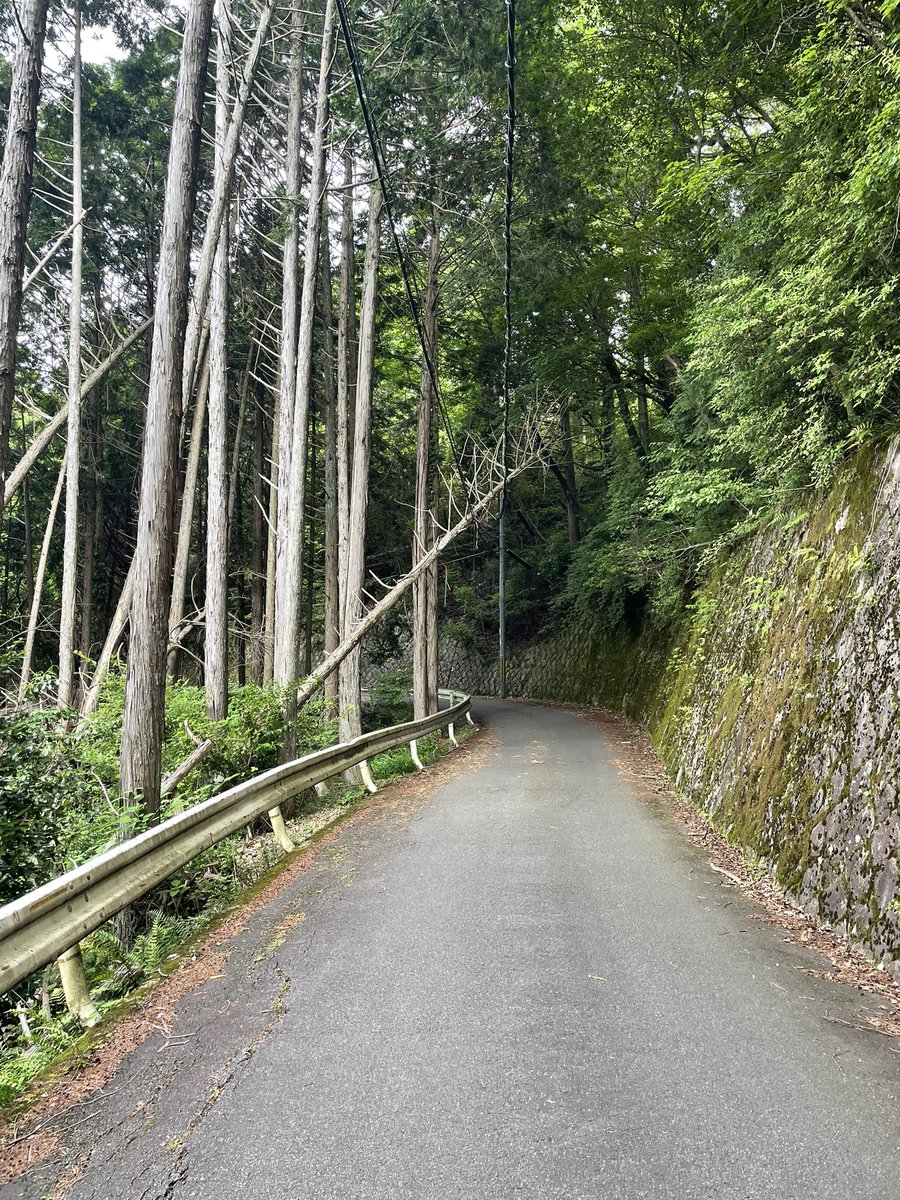 ShibataKanta's tweet photo. 京都一周トレイルの氷室神社と氷室別れの間のピーク付近で倒木が電線に引っかかってる。北部土木事務所に連絡しないと。「6月はだいたい毎日京見峠15キロトレ」を小辺路に行ってサボってる間だから、14日の大雨の時かな。
#京都一周トレイル
#京都市北区 https://t.co/PUOxikPOmj