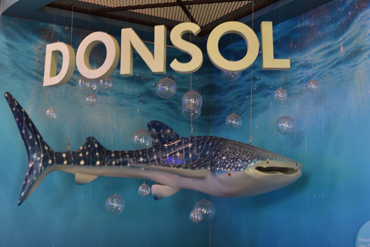 KGMResorts's tweet image. Catch the waves with the whale sharks in Donsol! This unique experience is a rare encounter with these gentle giants. Learn how to plan your trip: kgmresorts.com/post/whale-sha… #WhaleSharks #Donsol #MarineAdventure #FindingUtopia #KGMResorts