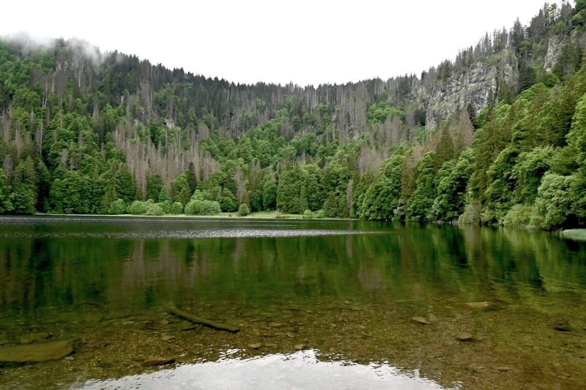Der Feldberg zählt zu den bekanntesten Bergen in Süddeutschland, den man gut erwandern kann. Tipps für den Wanderweg Feldbergsteig zum höchsten Gipfel im Schwarzwald, neu im Blog: people-abroad.de/blog/feldbergs… #feldberg #schwarzwald #wandern