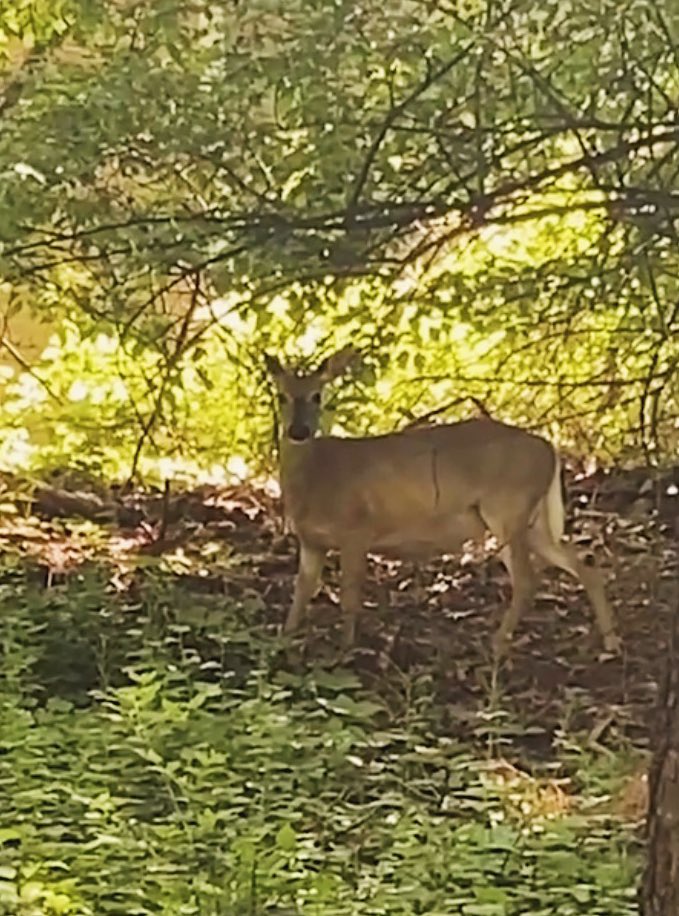 it’s officially summertime ☀️