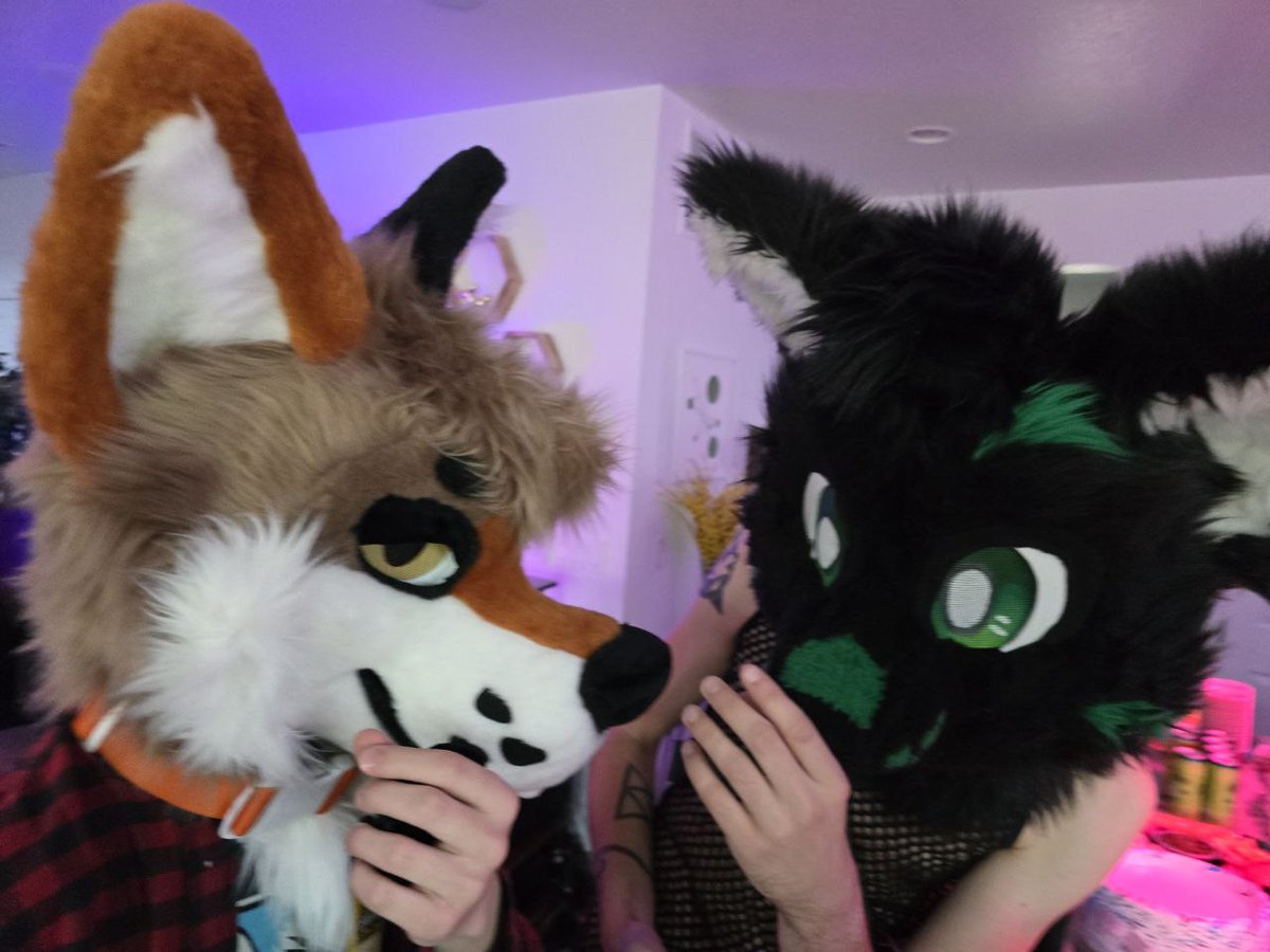 Don't mind us, we're just scheming...
<a href="/RyeTheYote/">Rye🔜AWU</a> 
#FursuitFriday
📷: <a href="/Tyler_TheFox/">Tyler 🦊 🔜 Your Bed</a>?