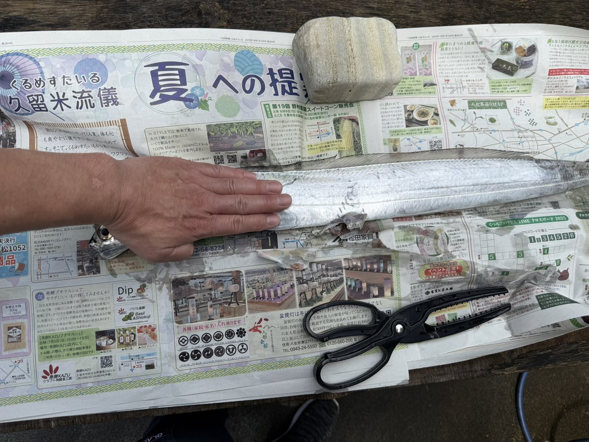 astroken's tweet image. 渋かったようですが終始楽しかったです。
今から捌きます💪