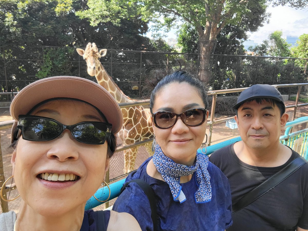 mariko_m's tweet photo. #WorldGiraffeDay 2025 https://t.co/cPtLeWK7hm