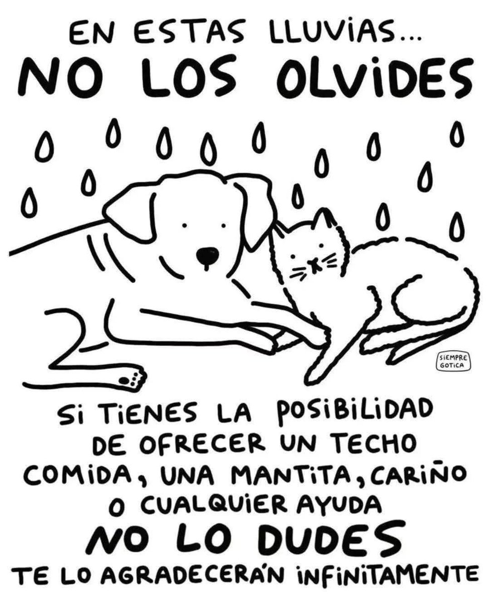 Abogado Animalista (@licanimalista) on Twitter photo Muy importante poder ayudar a los que menos tienen. Muy importante poder ayudar a los que menos tienen.