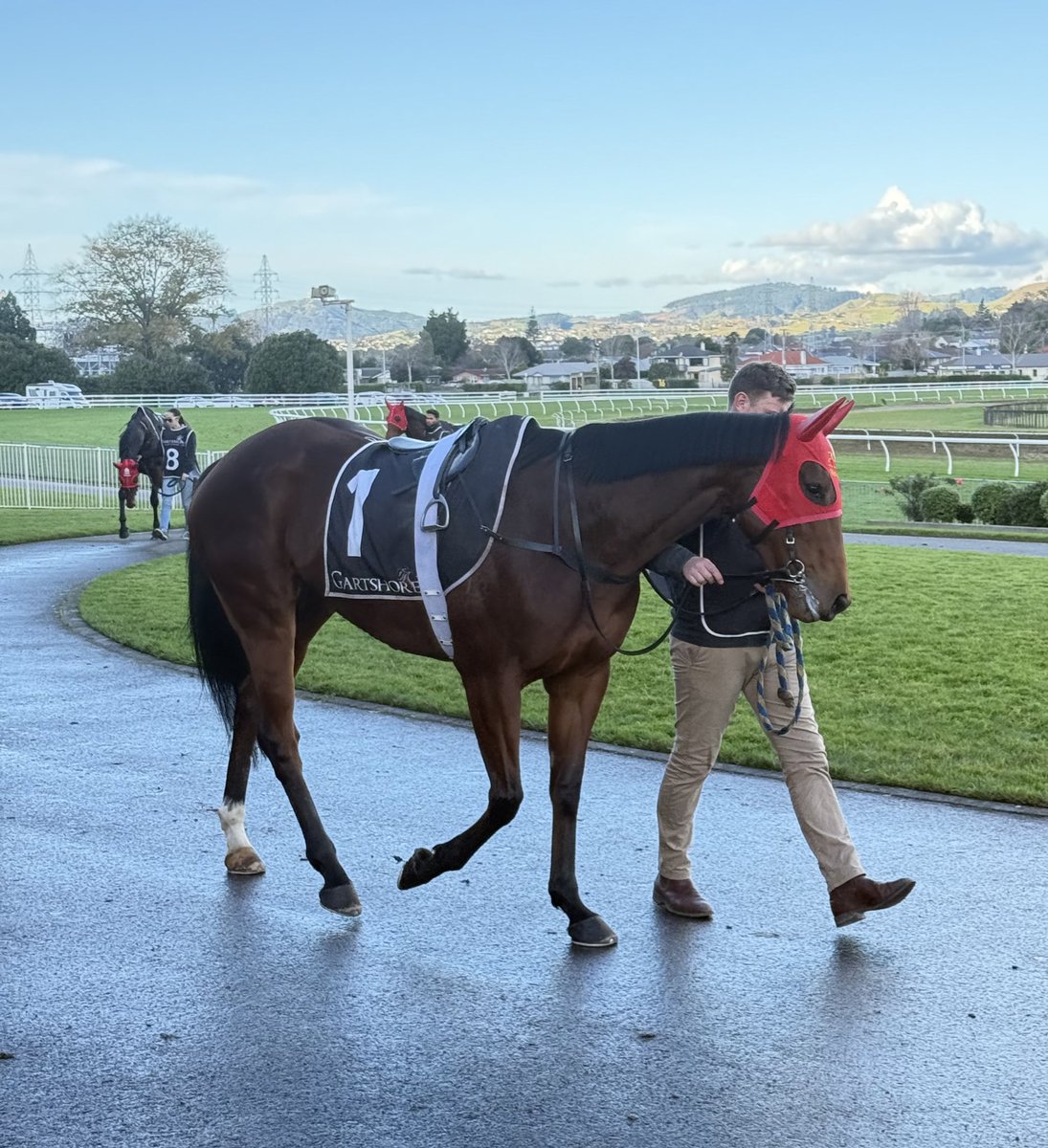 Blandford Lodge (@blandfordlodge) on Twitter photo Congratulations CORK! Winner of the Listed Tauranga Classic. 🥂
Blandford lodge gets the quinella with LUX LIBERTAS just being pipped on the line. Cork is out of Little Bit Irish (O’Reilly). Very well done to the connections of this 7yo mare who is trained by <a href="/Ballymorestable/">Ballymore Stables NZ</a> 🍾 Congratulations CORK! Winner of the Listed Tauranga Classic. 🥂
Blandford lodge gets the quinella with LUX LIBERTAS just being pipped on the line. Cork is out of Little Bit Irish (O’Reilly). Very well done to the connections of this 7yo mare who is trained by <a href="/Ballymorestable/">Ballymore Stables NZ</a> 🍾