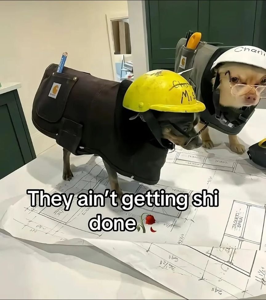 SrKengu's tweet photo. @divydend That whole bastion segment that consisted of "ok we're leaving...no wait we need obby...no wait we need to get backups..." gave me brain damage.

Also going "I’m not going to be the one to die" then heading into two blazes no fire res and 3 hearts bro I actually cried laughing 😭 https://t.co/da6sOcrb0D
