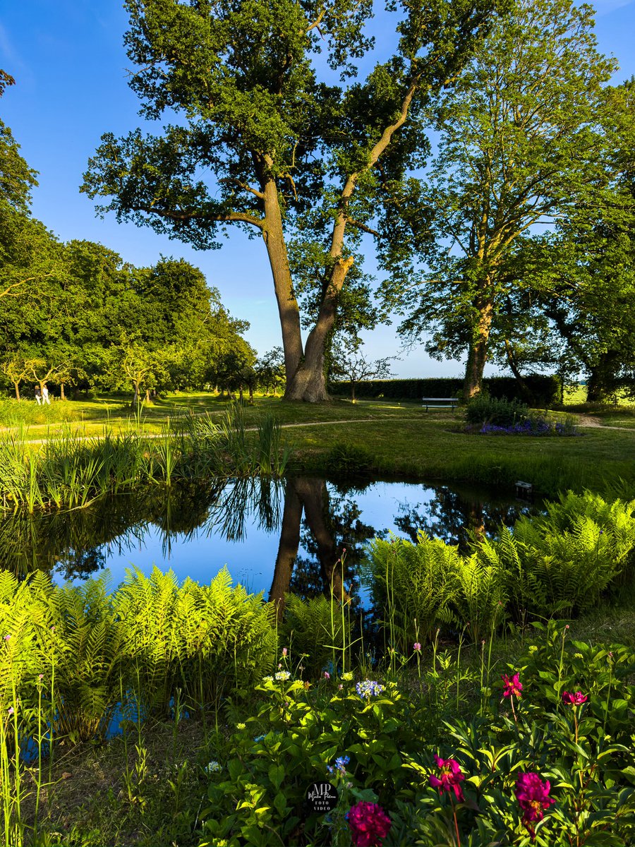 Goedemorgen 👋🏼 Het wordt een prachtige dag 🌞Fijne zaterdag!