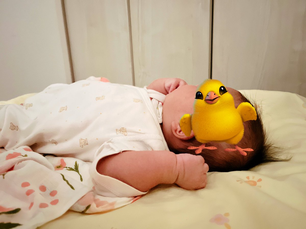 今日はこれから待望のソファーが届くぞ〜〜！！！！(引っ越したの2月…)
いま🦆期間ってことを知らないくらい産能の日常から離れてしまっていて、このまましれーっと9月に卒業を迎えてしまいそう…😑