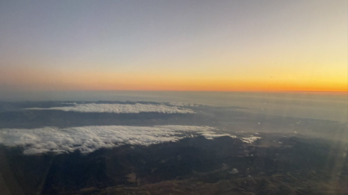 ViktorM🇺🇦 tweet media