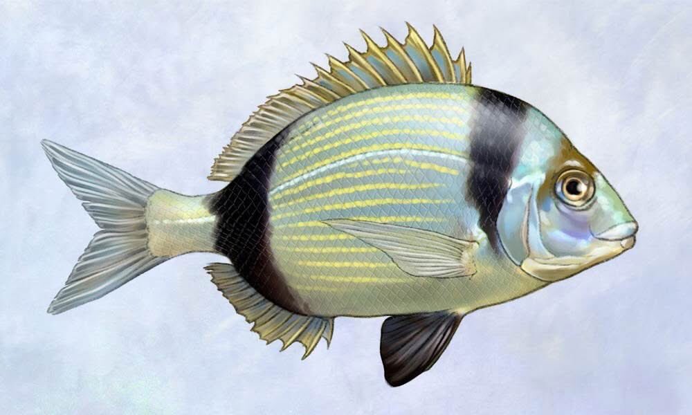 “La lluvia es triste porque nos recuerda cuando fuimos peces.”

. ― Ramón Gómez de la Serna