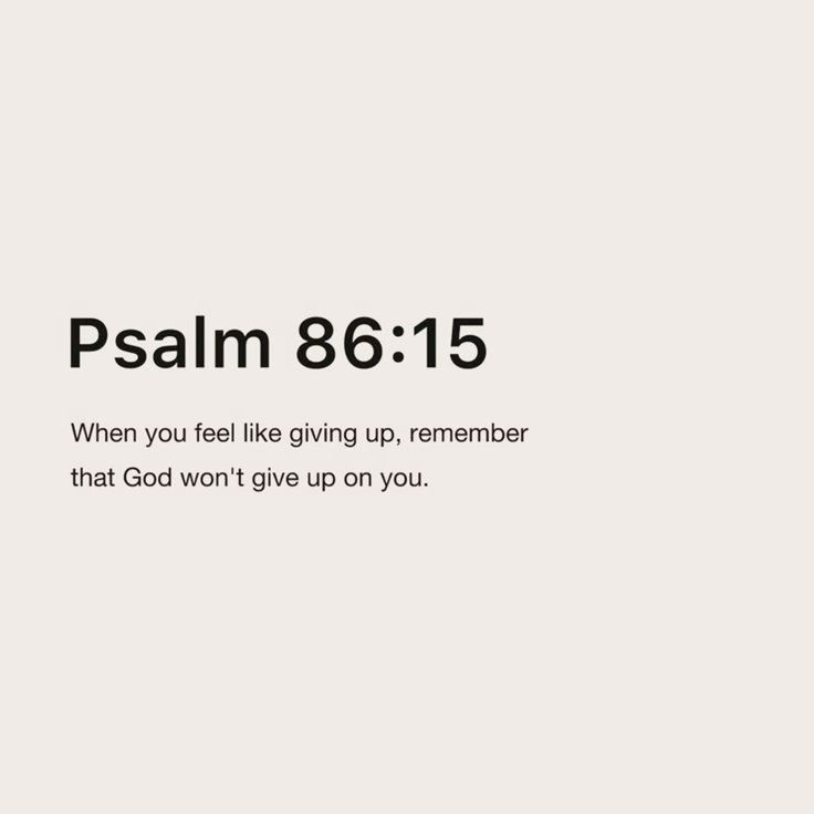 Bible 365 (@bible365_) on Twitter photo 