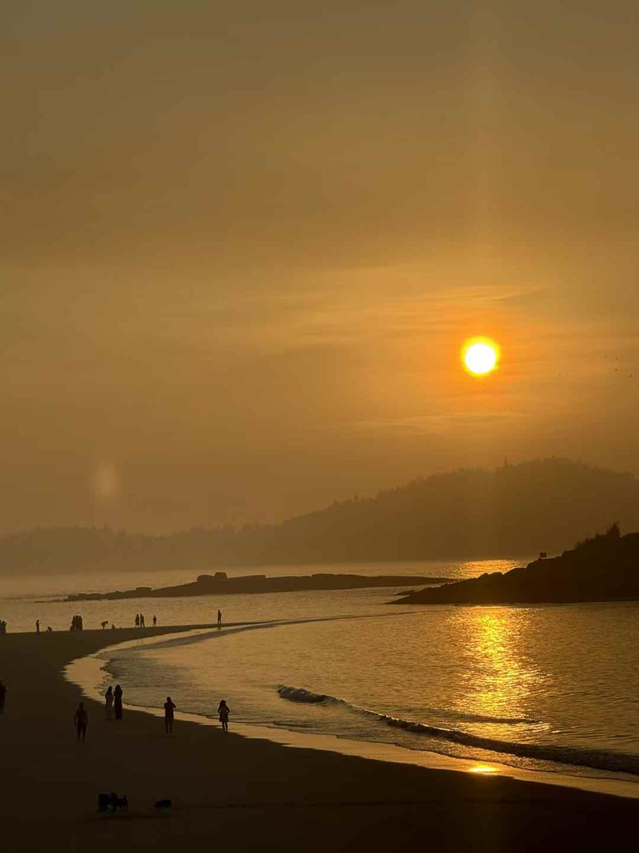 JunyeTracy's tweet photo. On a summer evening, I was by the seaside. What about you?😍🔥👏 https://t.co/uU5iNR9MAf