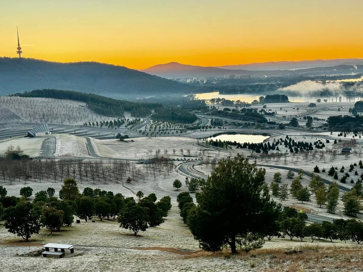 Linda Davies tweet media