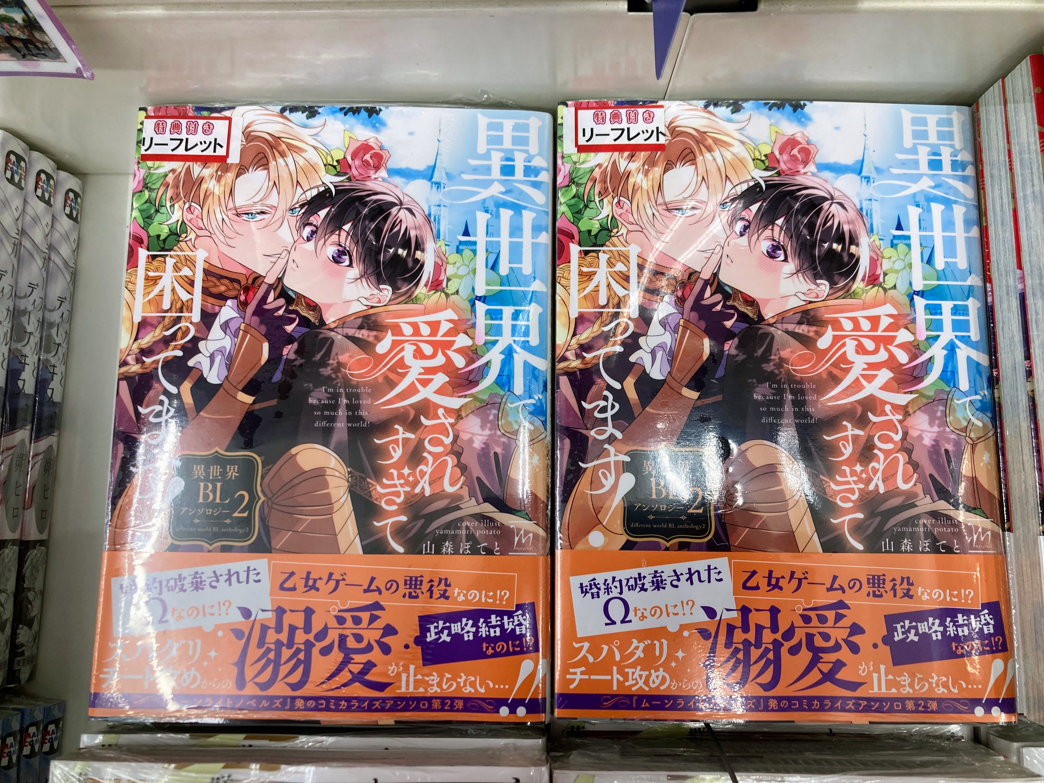 itz 『コントラスト』 とらのあな リーフレット【BLグッズ】 | K