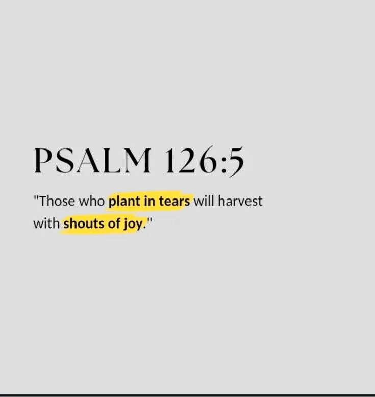 Bible 365 (@bible365_) on Twitter photo 
