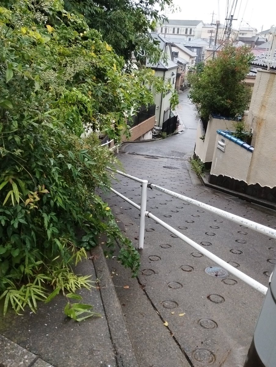iiroji_bot's tweet image. 