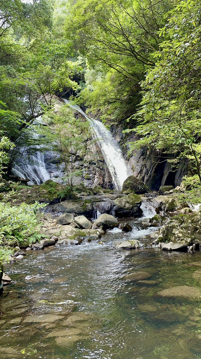 ankomozu1's tweet image. 涼み🎐