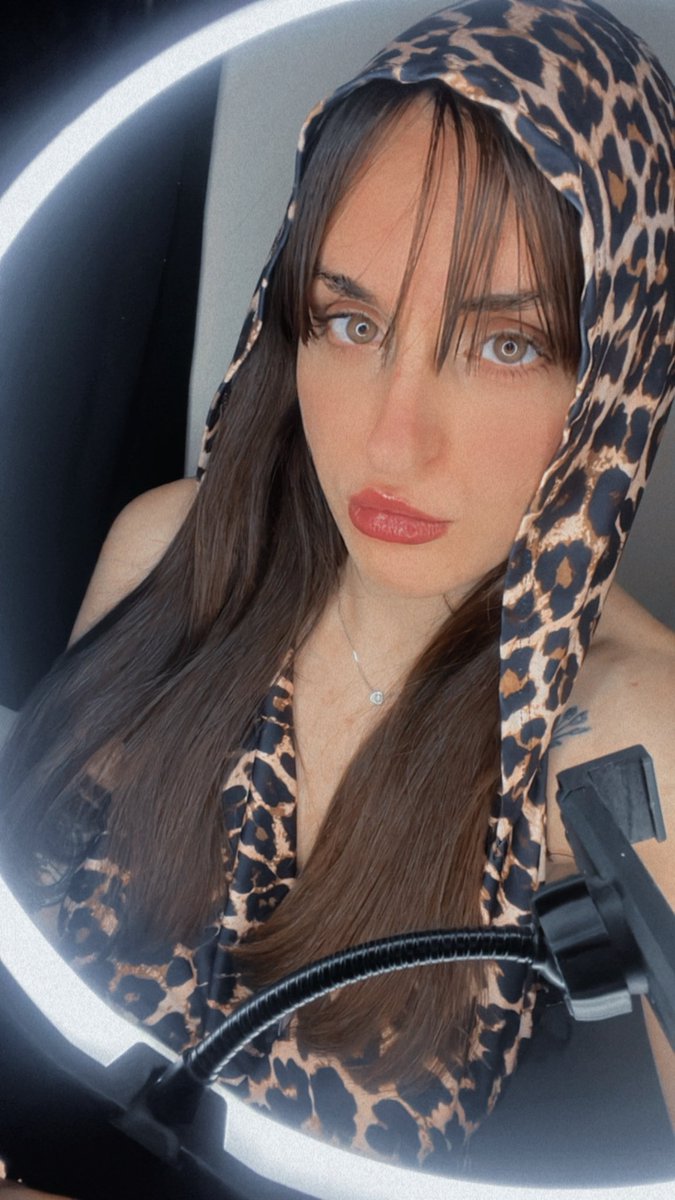 Meiga Galega $MeigaCoin (@meigagalega_) on Twitter photo 