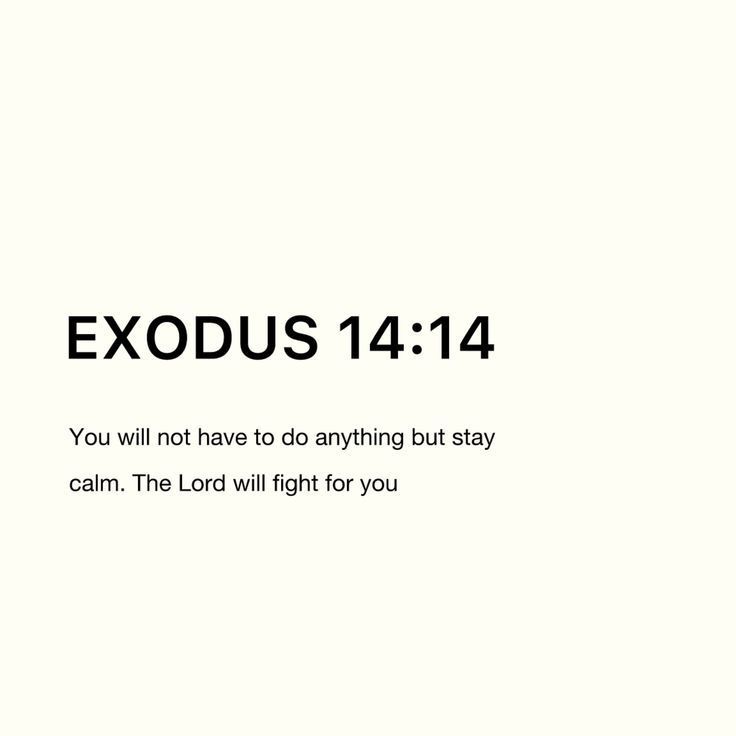 Bible 365 (@bible365_) on Twitter photo 