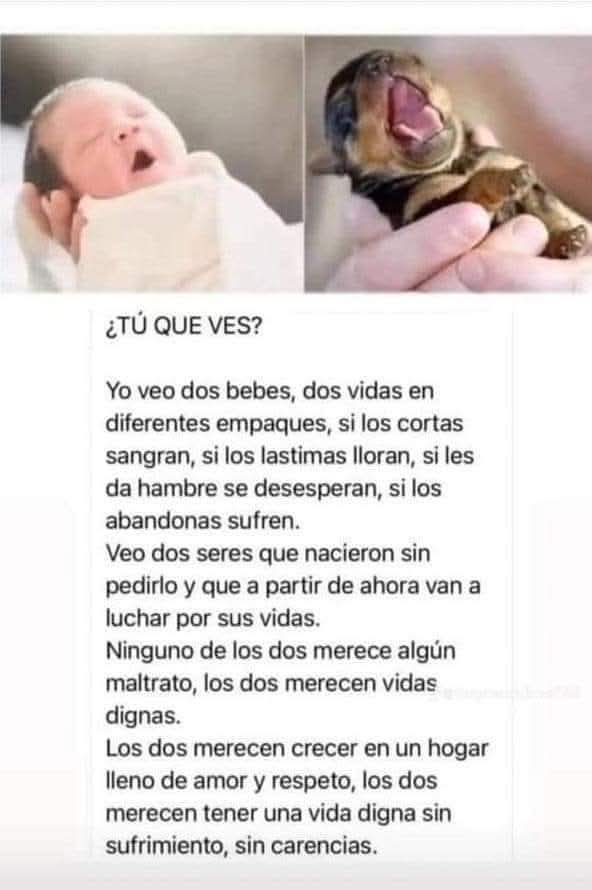 Antonio N Orellana Reyes (@protbestfriend) on Twitter photo 