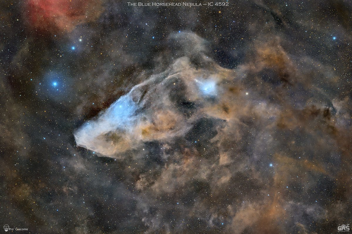 The Blue Horsehead Nebula – IC 4592
Light: 280 x 180 seconds Filter: #Optolong Astronomy Filter L-QEF
📷Asi 294mc pro
Lens:Samyang 135mm
Guide camera: Asi 120 mini, 60 - 320 mm
Mount:Skywatcher Eq 6-r Pro
Location:Torricella ITALY
SQM: 19.75
Credit: Giacomo Pro
Hope you like it.