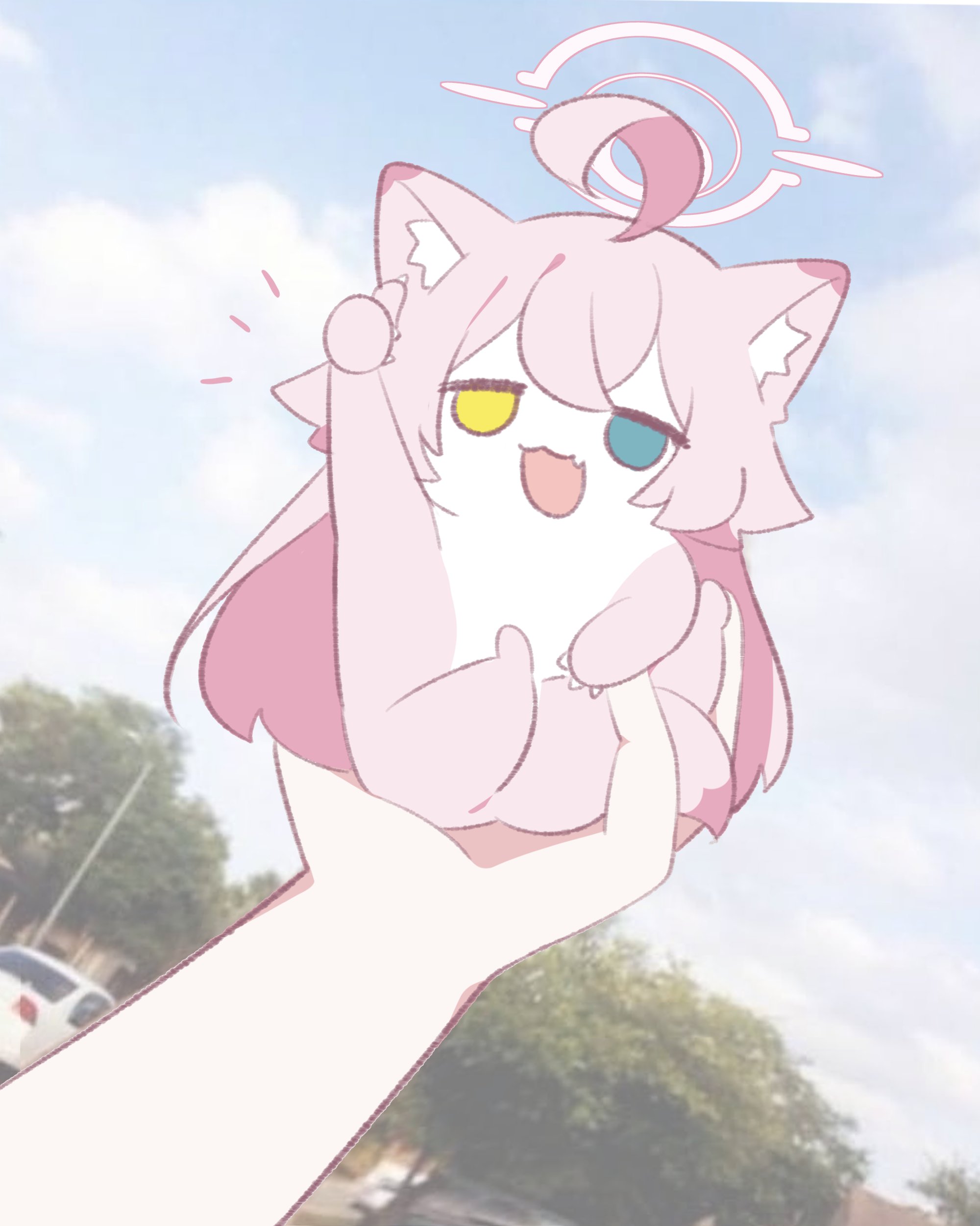 ラテちゃん 라떼쨩 ラテちゃん (@uni_lattes2) / Posts / X