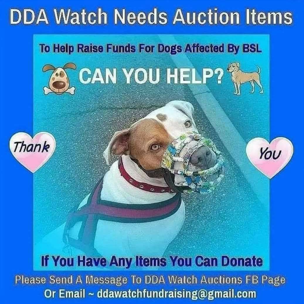DDA Watch Auctions tweet media